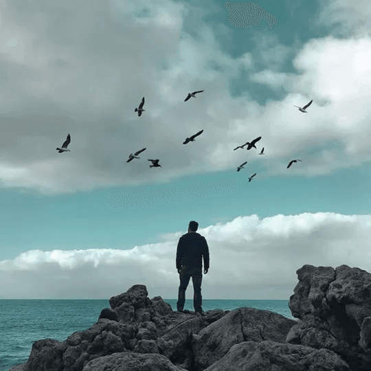 cover-autumn-reset-meditation-music-to-transition-into-a-new-season