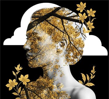 Learning through Sound image