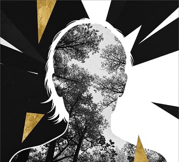 Structured Journeys image