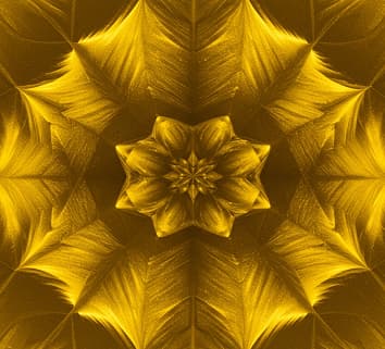 illustration the app 3